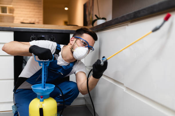 Pagosa Springs, CO Pest Control Company