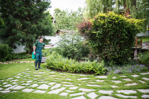 Best Best Pest Control Companies  in Pagosa Springs, CO