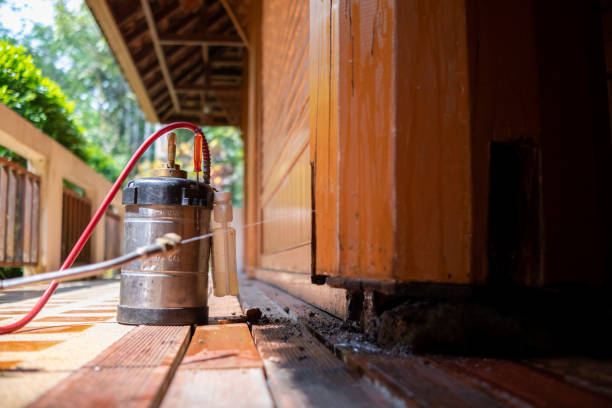 Best Best Pest Control Companies  in Pagosa Springs, CO