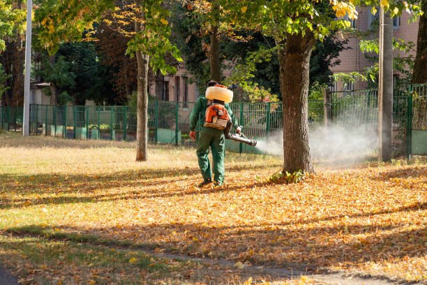 Flea Control Services in Pagosa Springs, CO