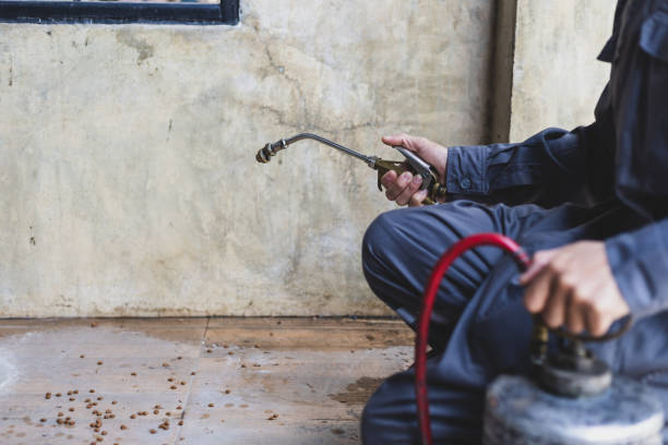 Best Affordable Pest Control Services  in Pagosa Springs, CO
