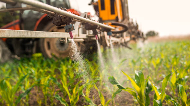 Pest Prevention Services in Pagosa Springs, CO